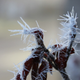 Illustration for article titled 27 Bone-Chilling Photos Of Winter